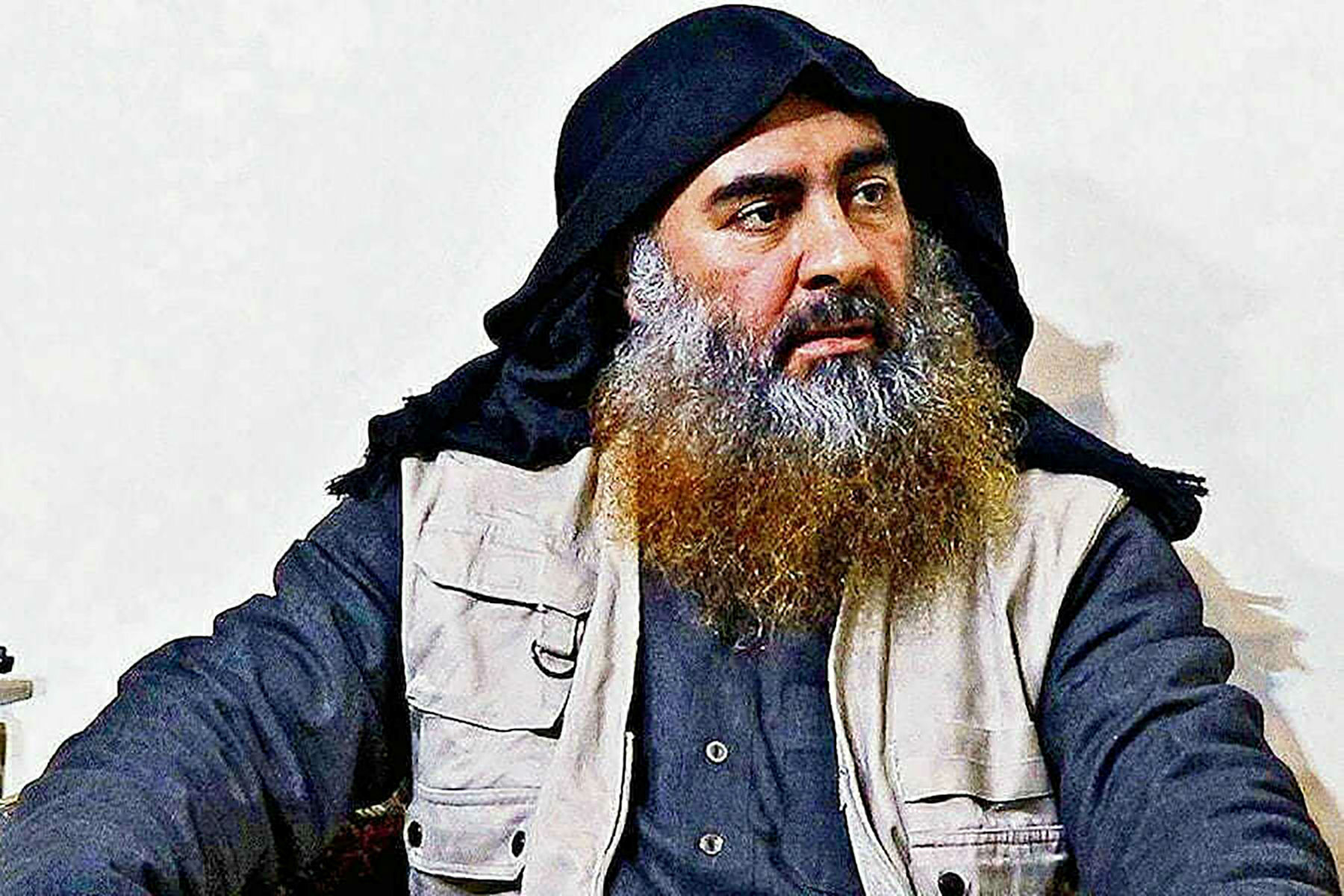 Julie Kelly Talks al-Baghdadi and Hero Dog Conan