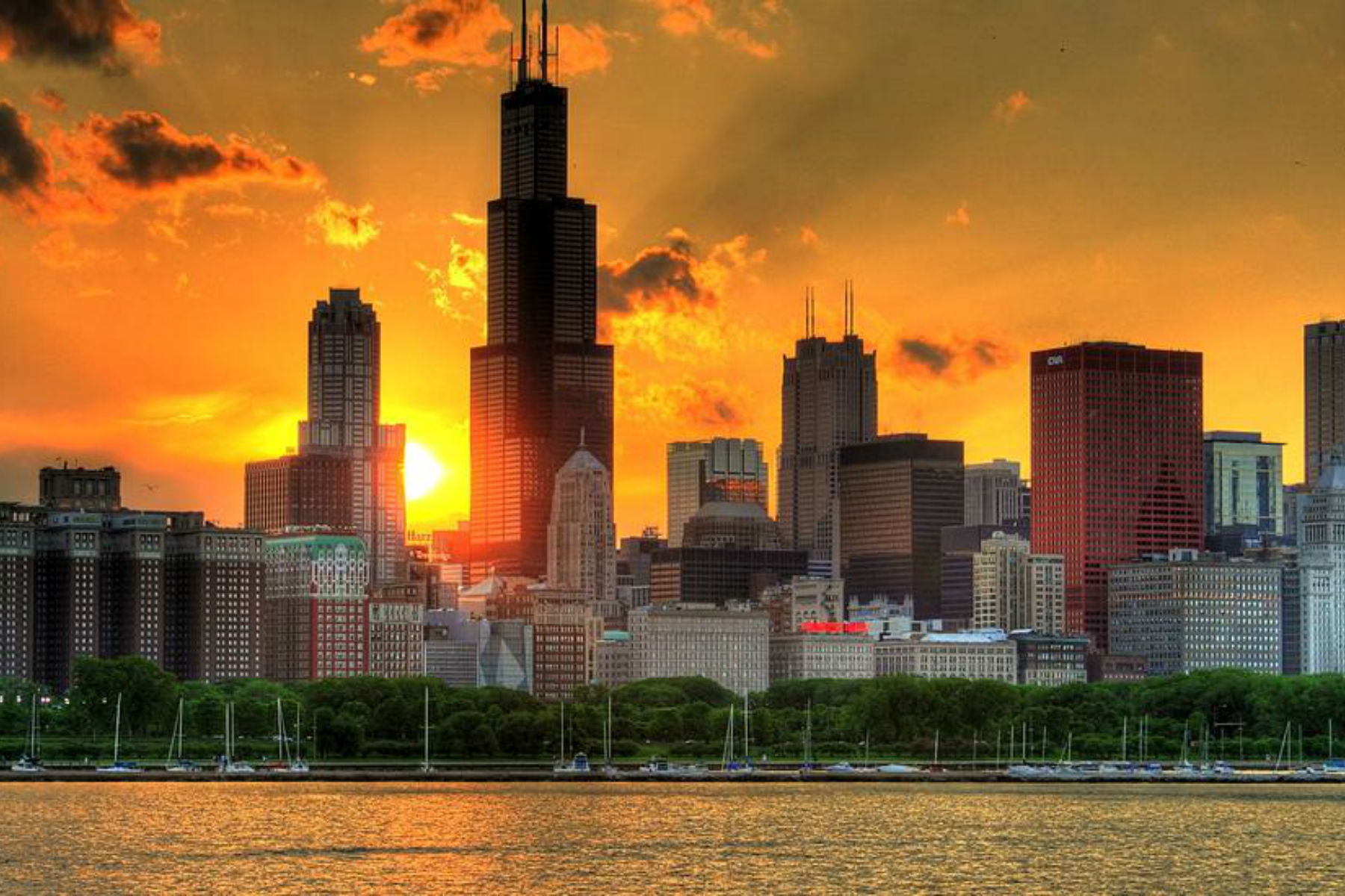Scott “The Cow Guy” Shellady Warns Chicago is Headed for a Bigger Collapse than We Think