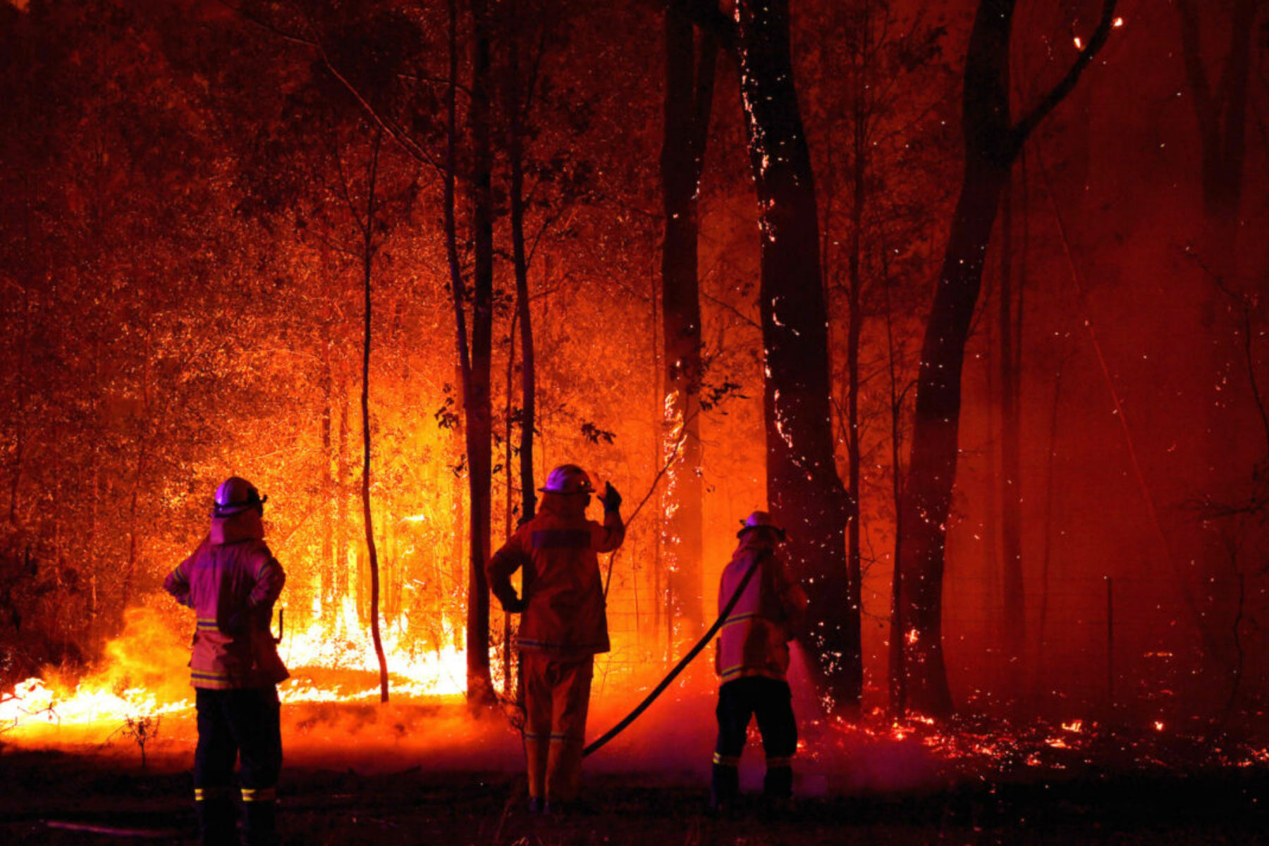 GreenPeace Co-Founder Patrick Moore Reacts to the Fires in Australia