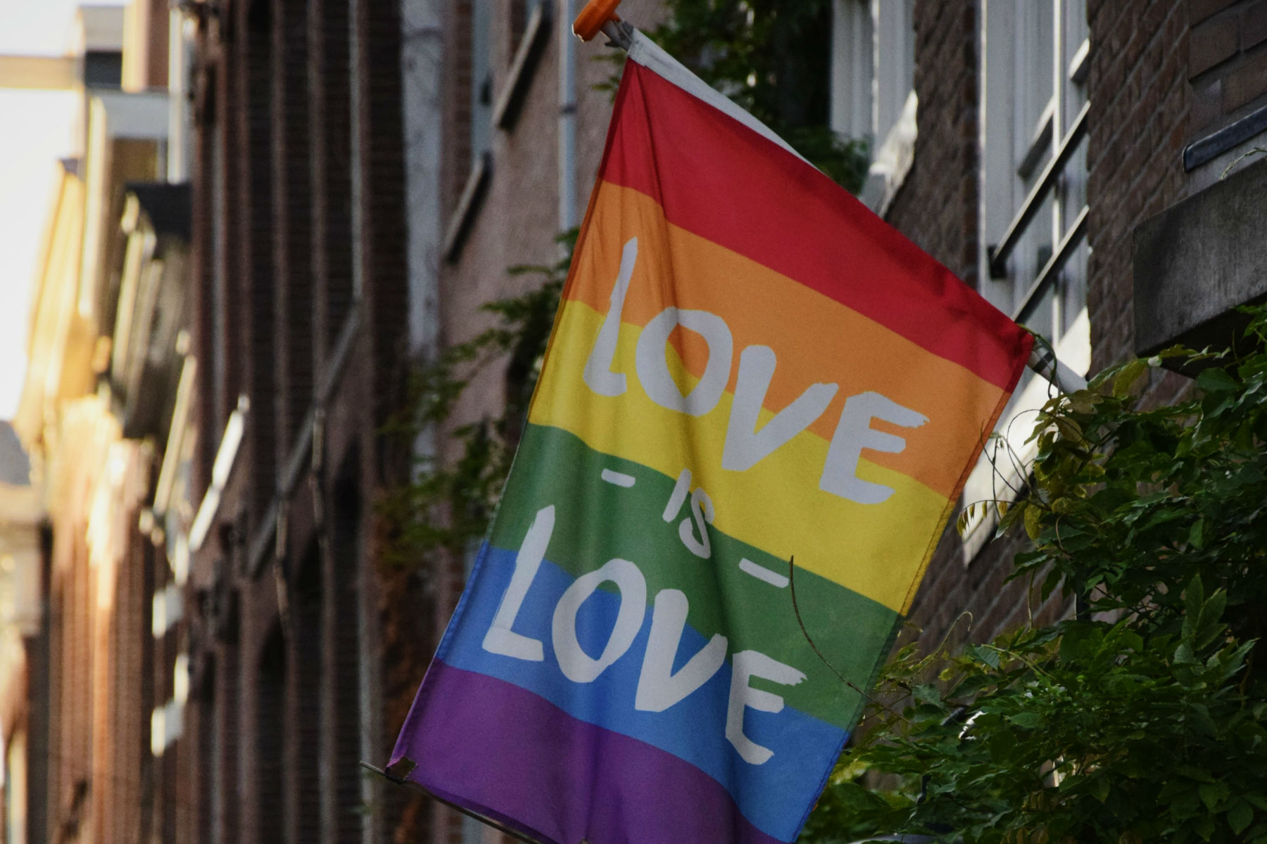 Libby Emmons Discusses the Trans Movement to Erase Homosexuality and Women