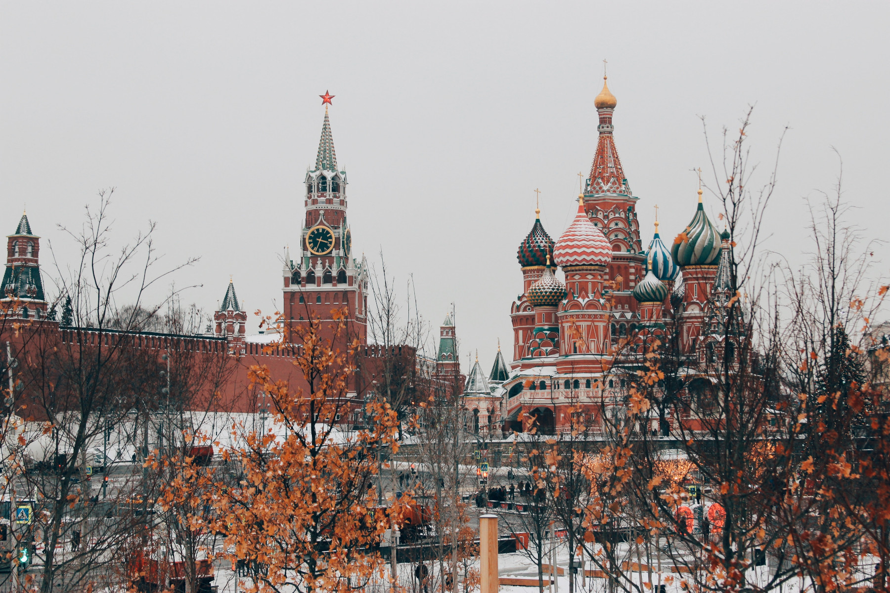 Dana Lewis on Alexei Navalny’s Poisoning & His Return to Russia