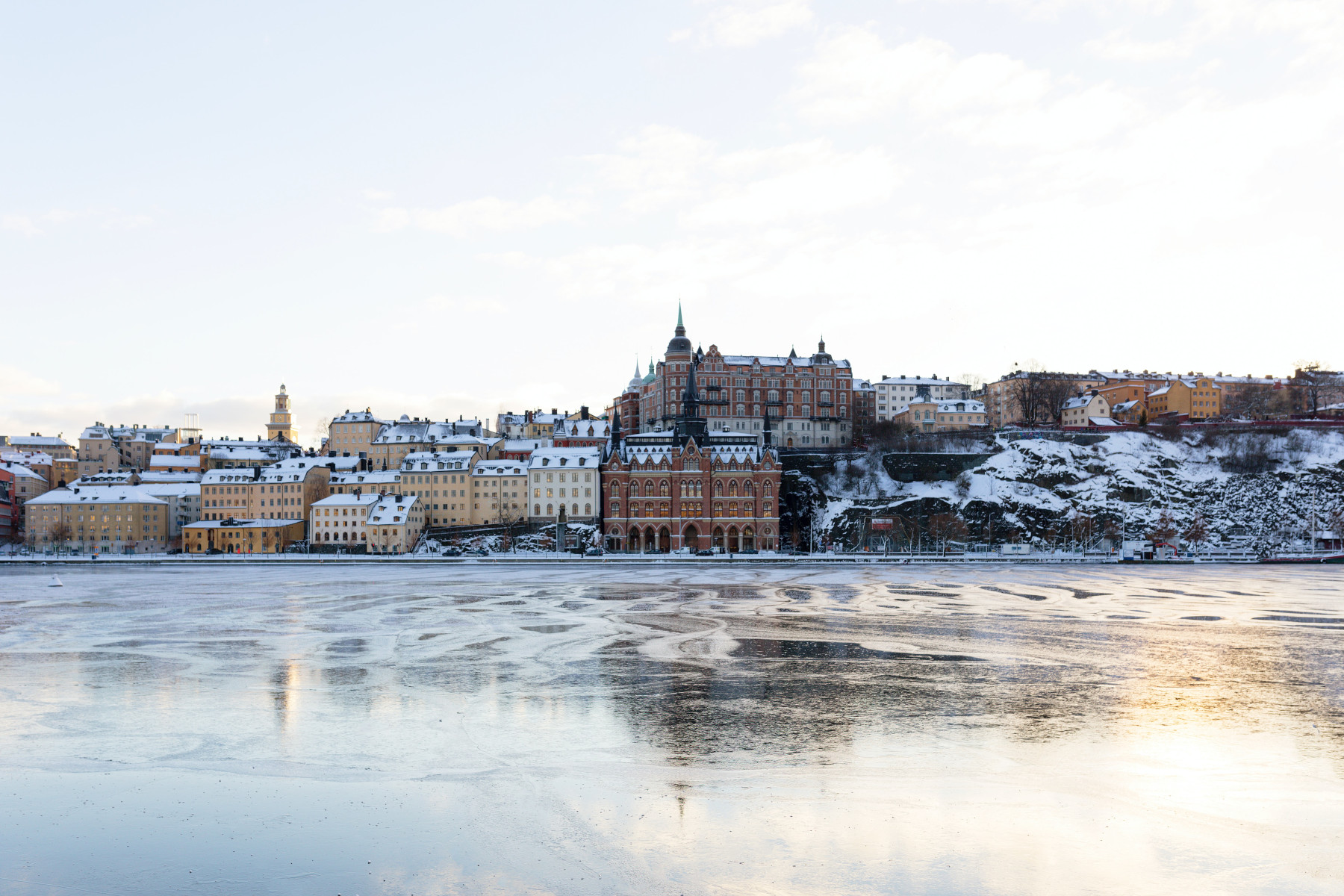 Fredrik Erixon Explains the Swedish Alternative to Lockdowns