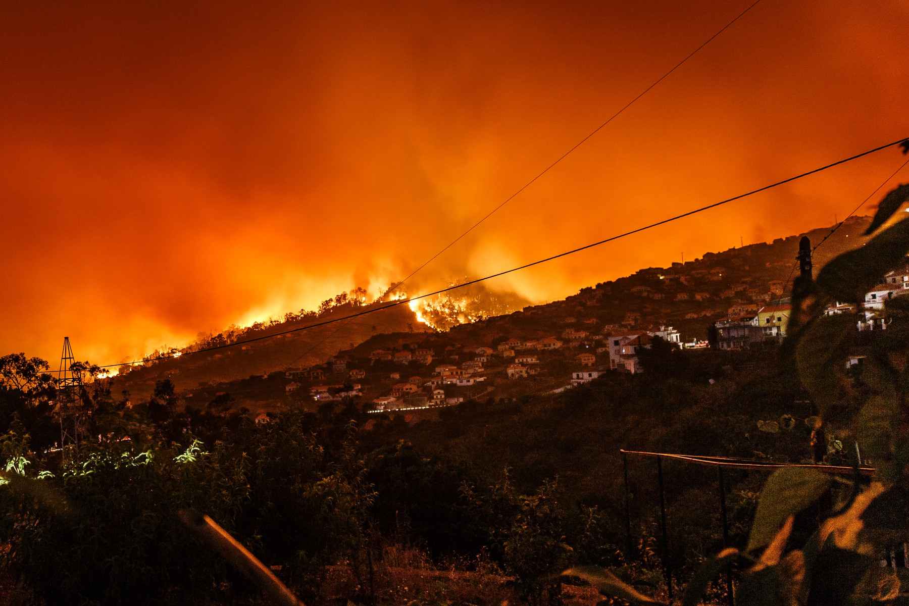 Bjorn Lomborg: “Sorry, But Solar Panels Won’t Stop the Fires”