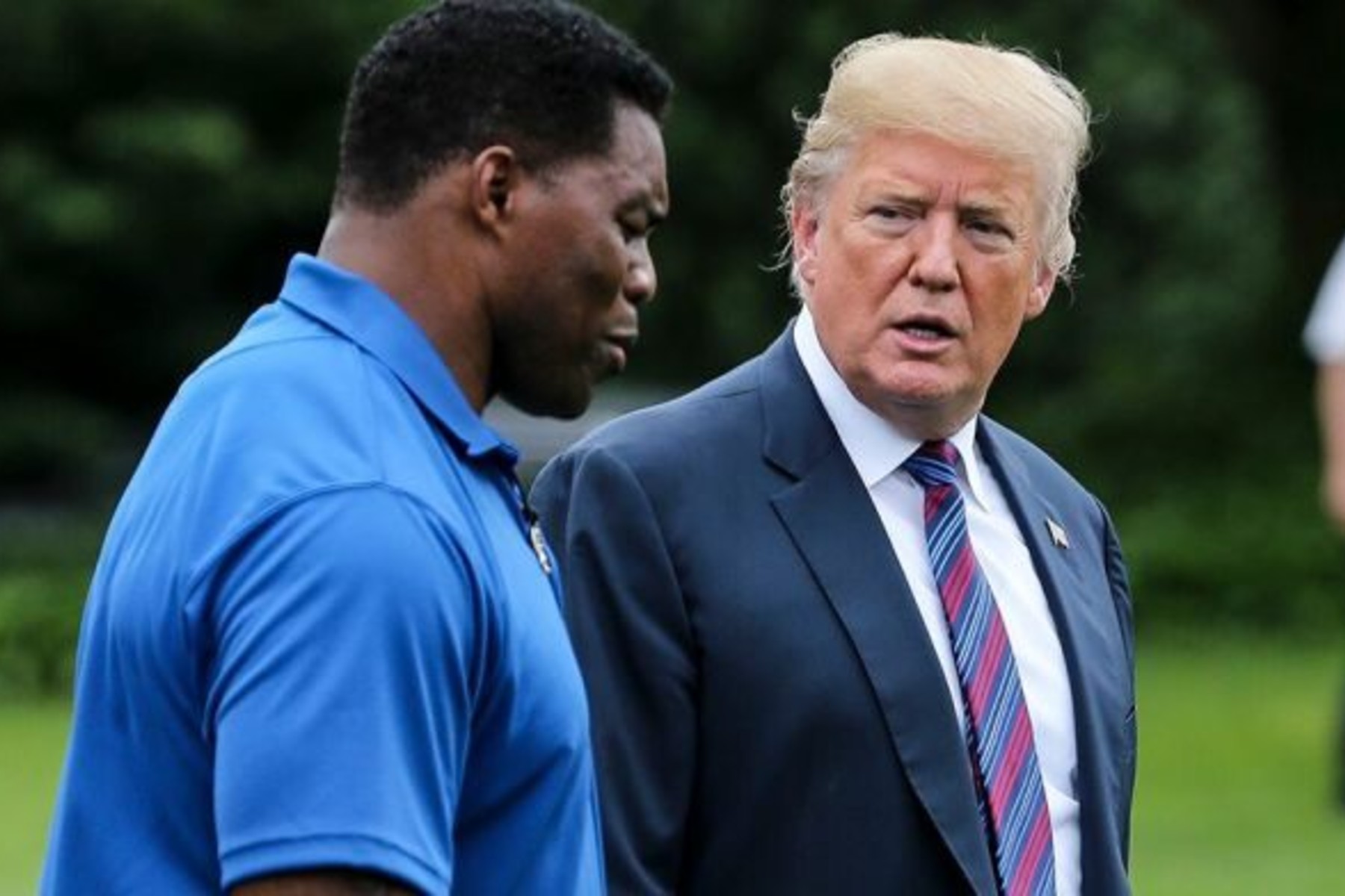 Herschel Walker Makes His Closing Argument for President Trump