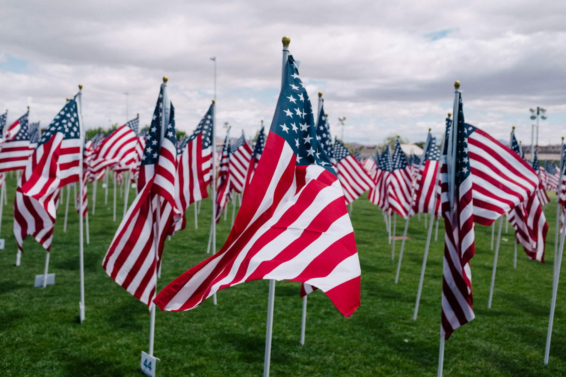 Honor Flight Chicago’s Doug Meffley on Veteran’s Day