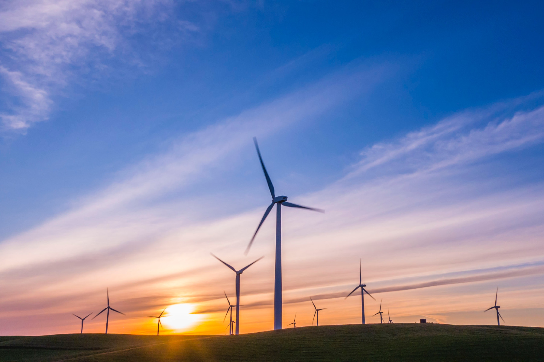 Stephen Moore on Green New Deal & Push to Return Kids to Schools