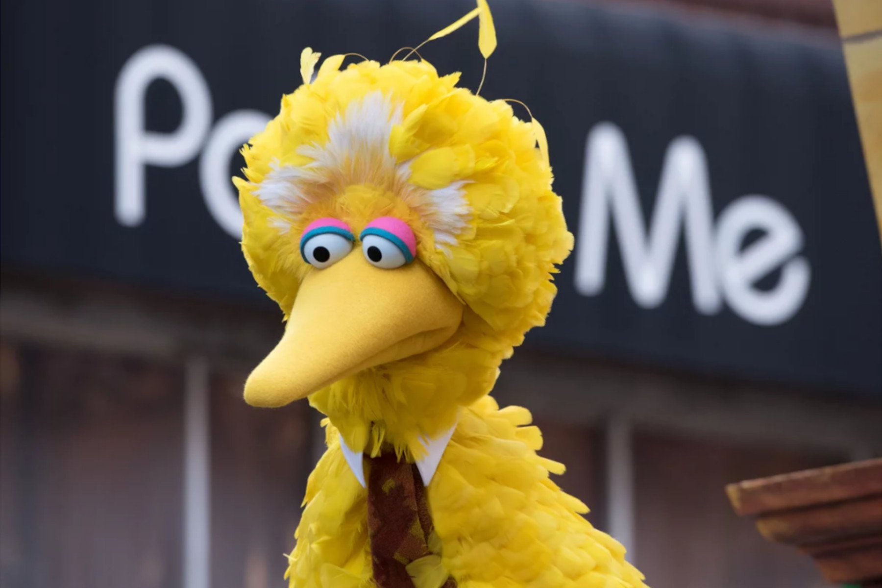 Bethany Mandel: Big Bird Shouldn’t Flap Into My Family’s COVID Decisions