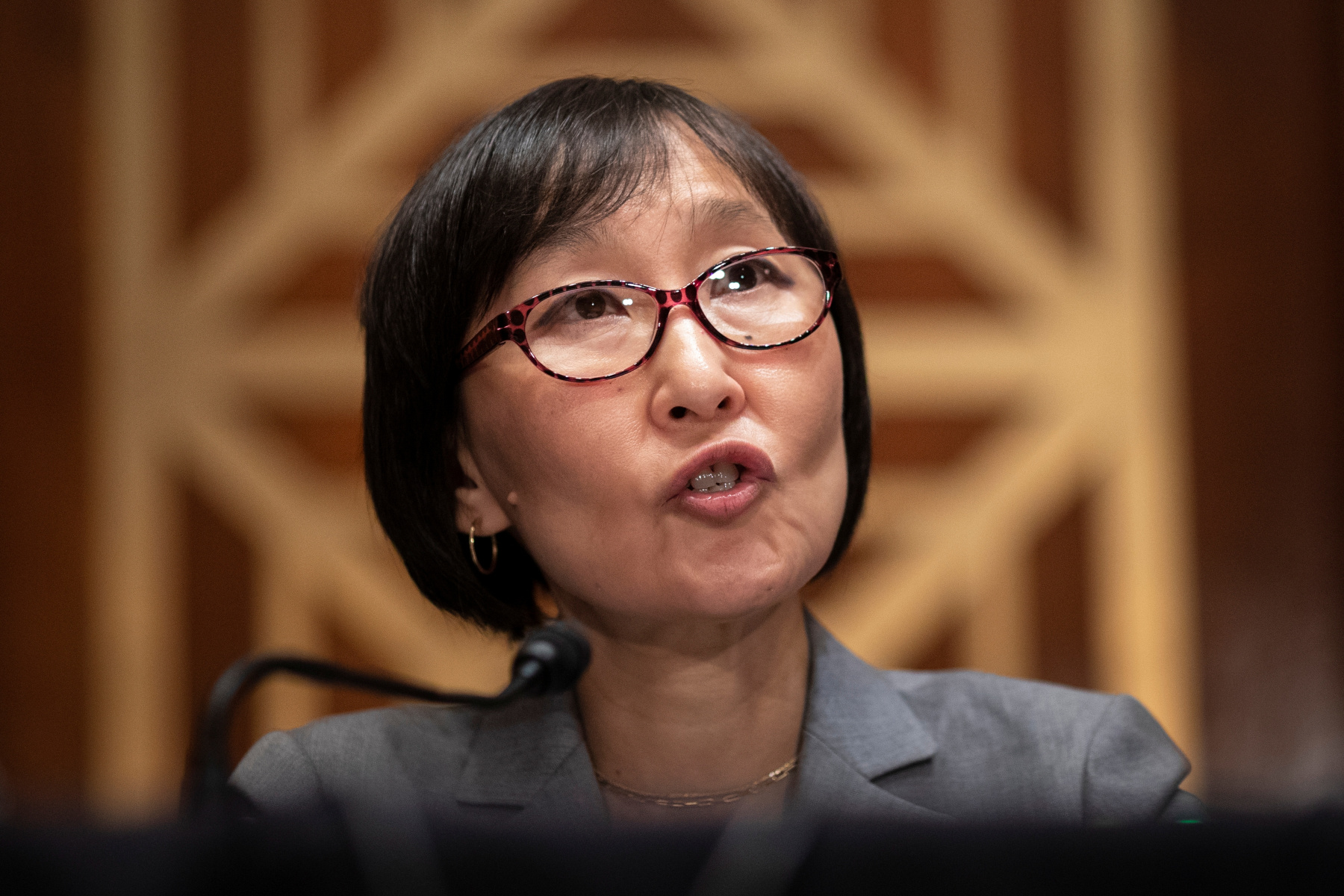 Stephen Moore Reacts to the Saga of Saule Omarova