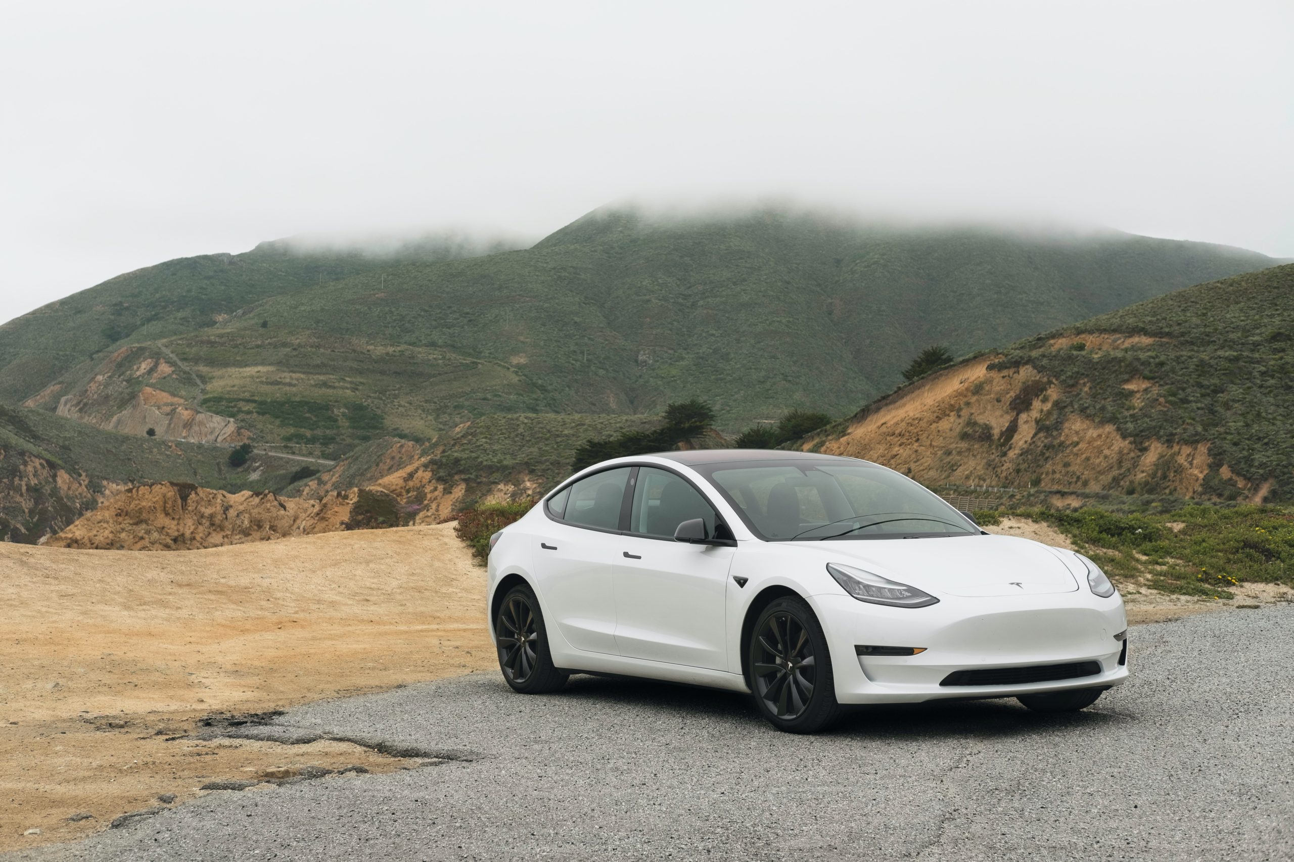 Stephen Moore: Call Electric Cars What They Are, Coal Burning Cars