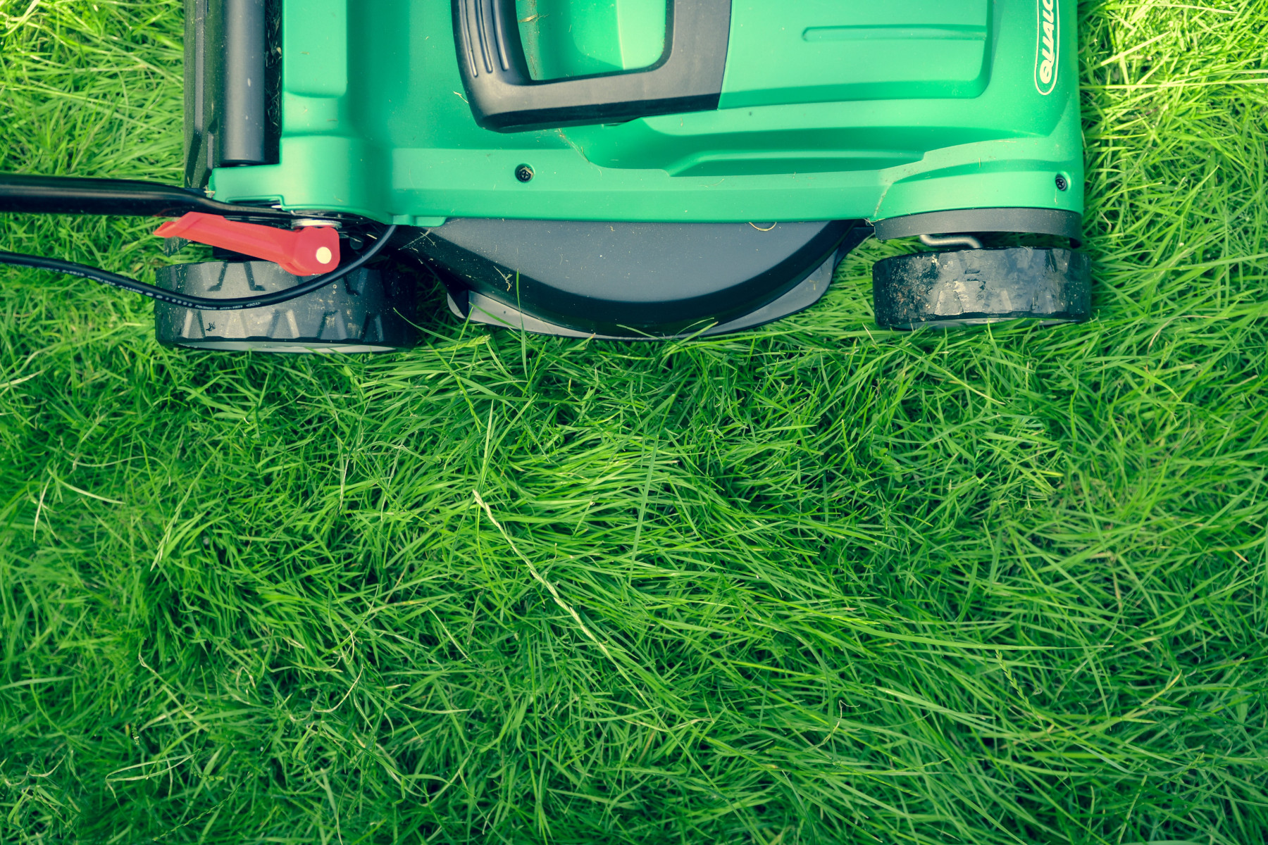 Teresa Mull Explains Why Mowing the Lawn is Underrated