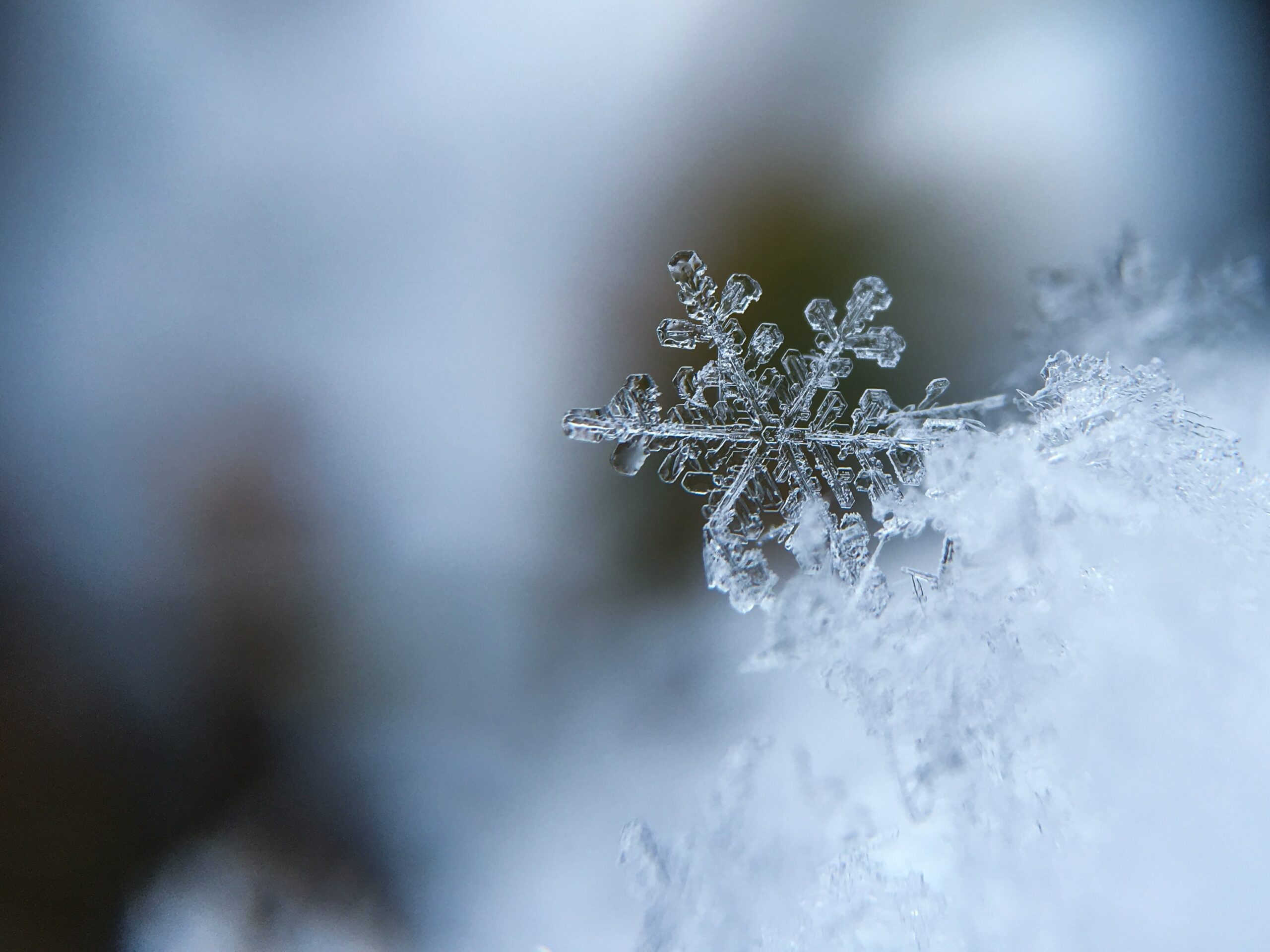 Perma Seal President Roy Spencer Checks in with Us Amid Pipe Freezing Temperatures