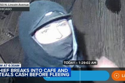 Video shows burglar break into Cafe Utjeha in Chicago