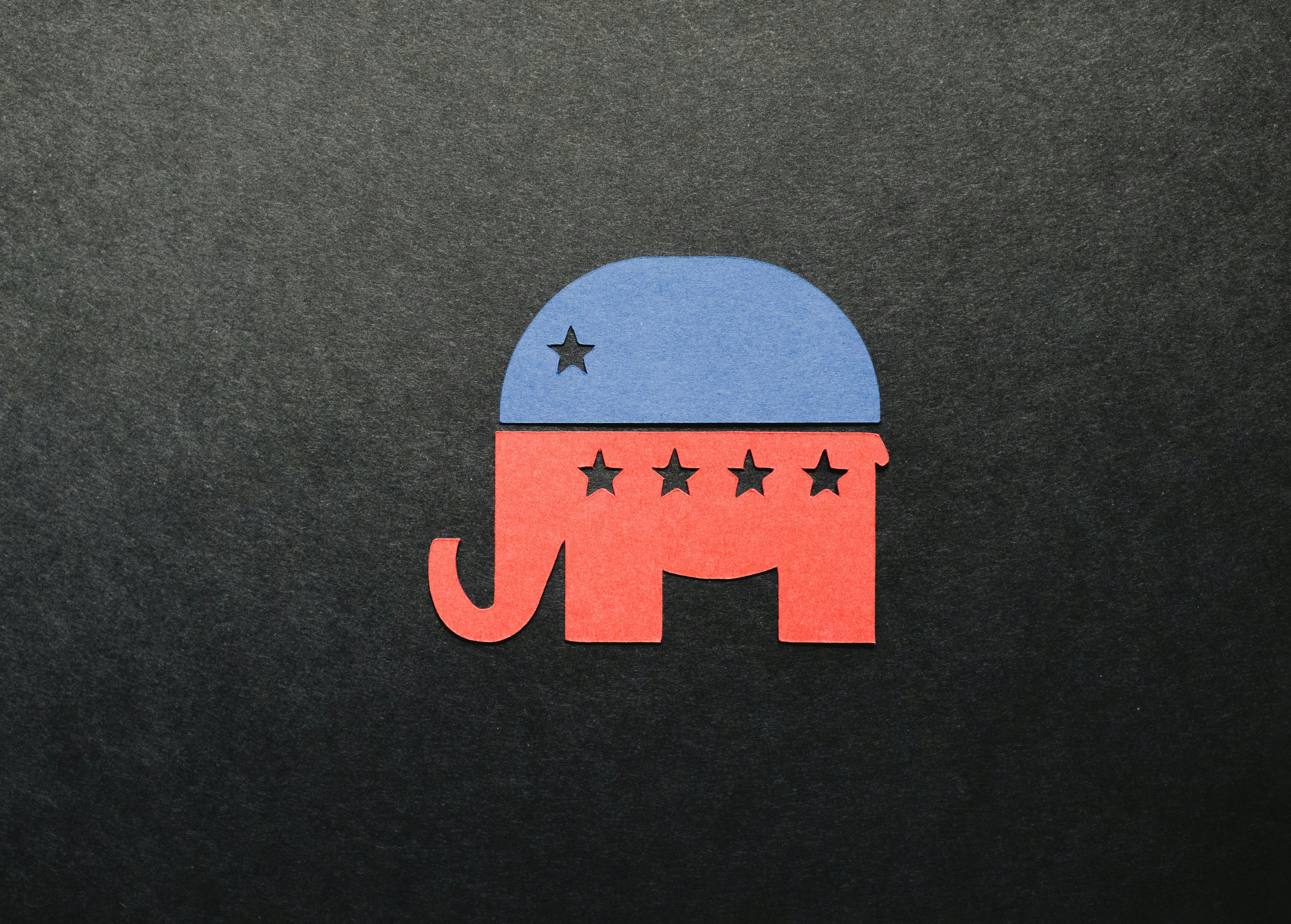 Amber Duke Looks at the State of State Republican Parties