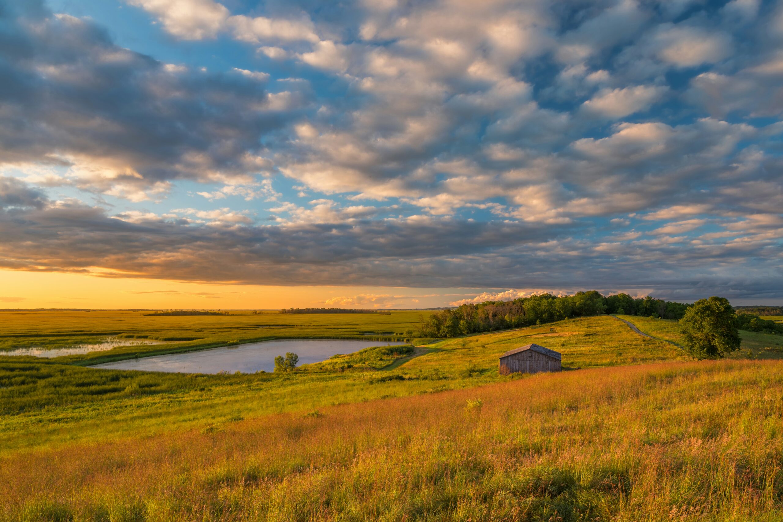 Brian Reisinger on his new book “Land Rich, Cash Poor”