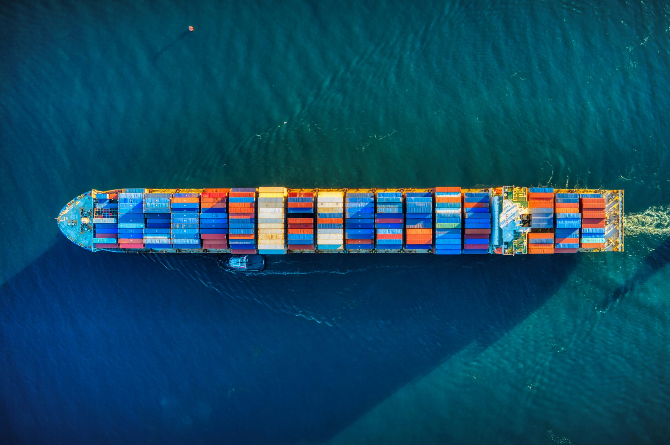 Carol Roth Warns of Economic Whiplash Amid Tariffs, Slow GDP, and Supply Chain Woes