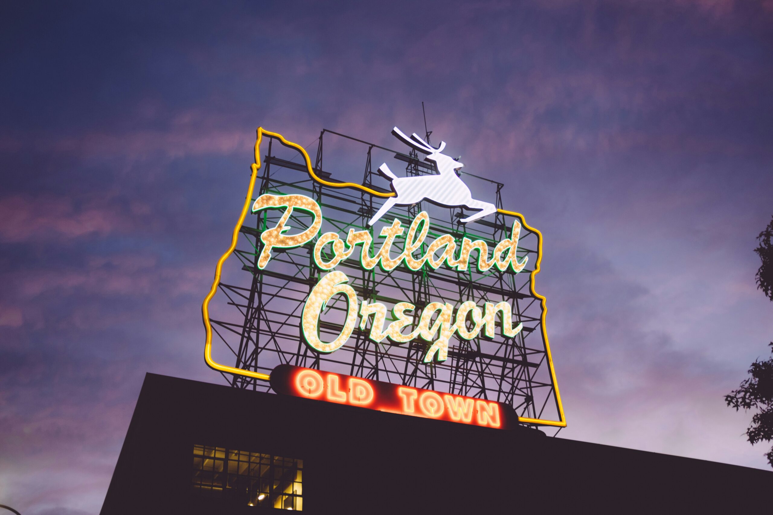 Portland Disillusionment Reflects a Broader Political Shift, Says Media Commentator Joe Concha
