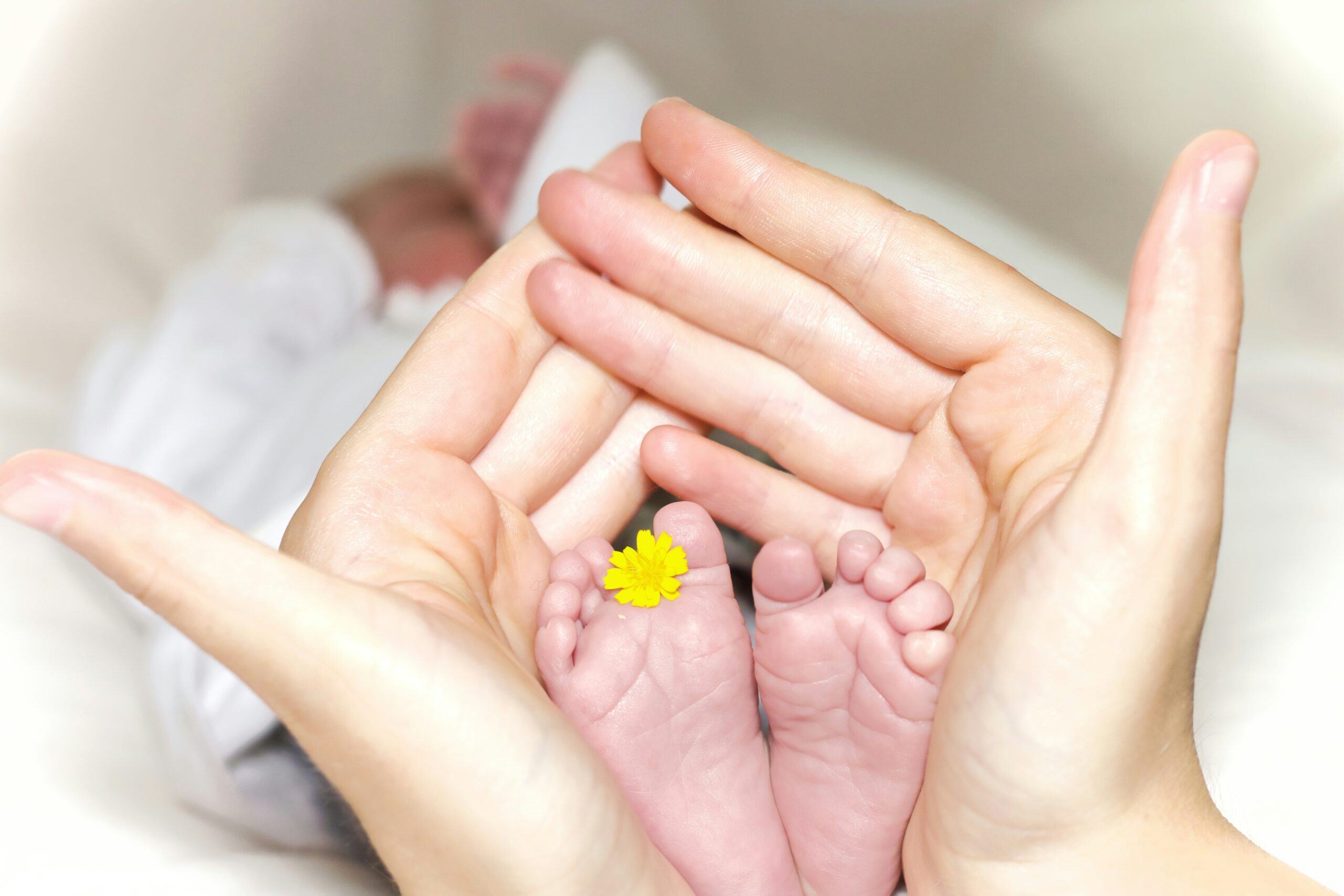 Preborn’s Scott Wilder on how their efforts help pregnant mothers choose life