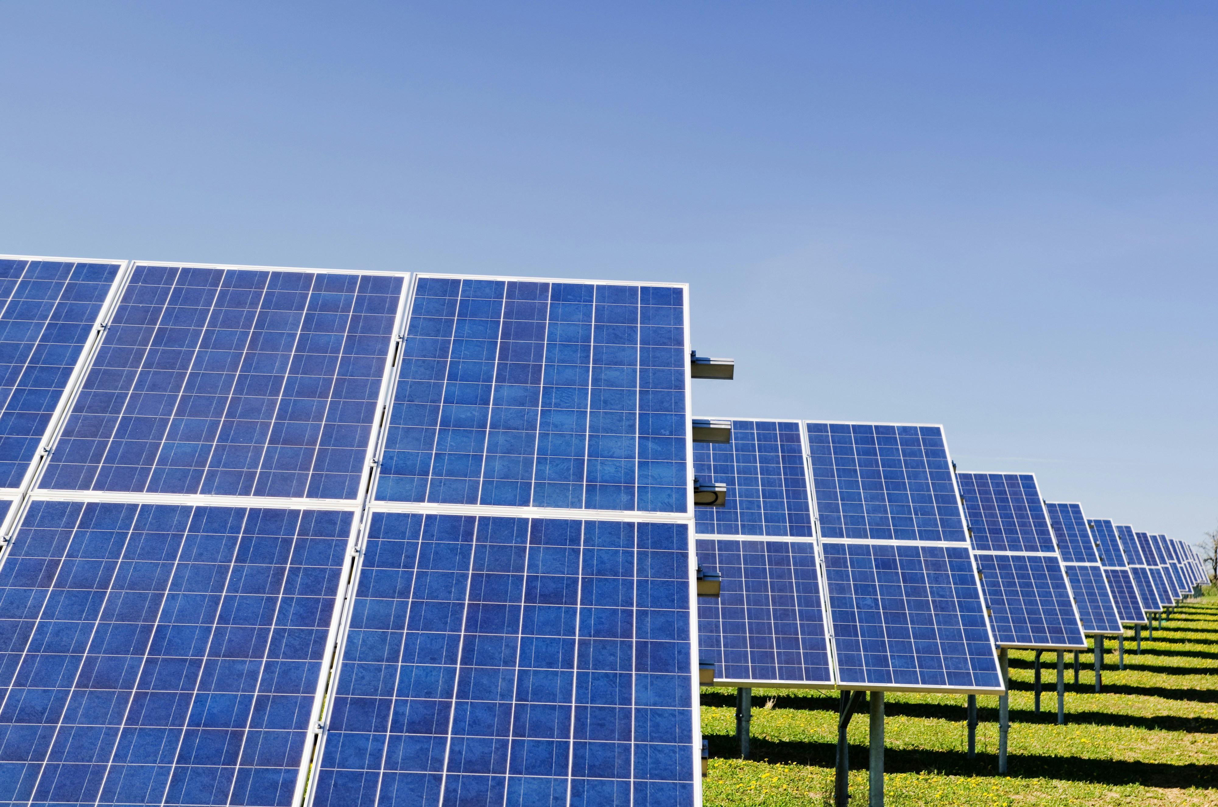 Bjorn Lomborg Warns Against California-Style Green Energy Policies: “Innovation, Not Virtue Signaling”