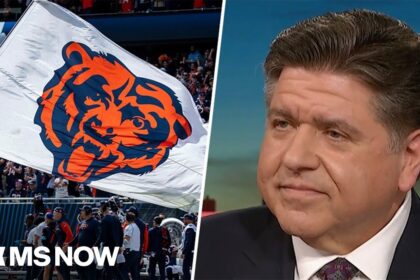 Wirepoints’ Mark Glennon looks over the proposed Bears deal, saying he doesn’t get it