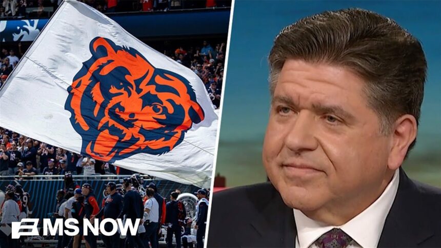 Illinois Bears Stadium Deal: Corporate Welfare Over Real Reform