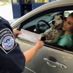 Border Patrol Union Leader Says Immigration Enforcement Reflects Court Orders, Not Discretion