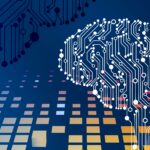Liya Palagashvili: AI Is Fueling a 27% Surge in Solo Business Formation, Not the Job Apocalypse That Was Predicted