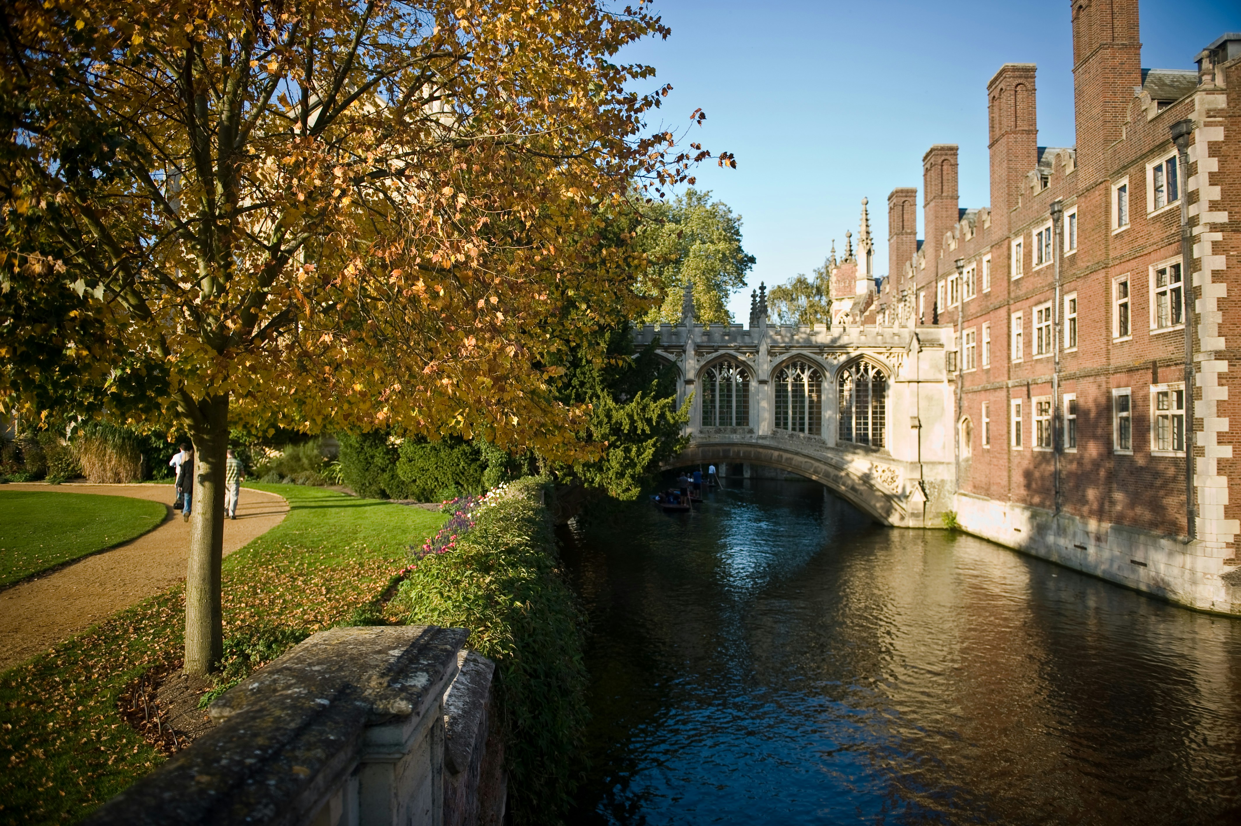 Cambridge’s Youngest Black Professor Resigns Amid Plagiarism and Fabrication Claims